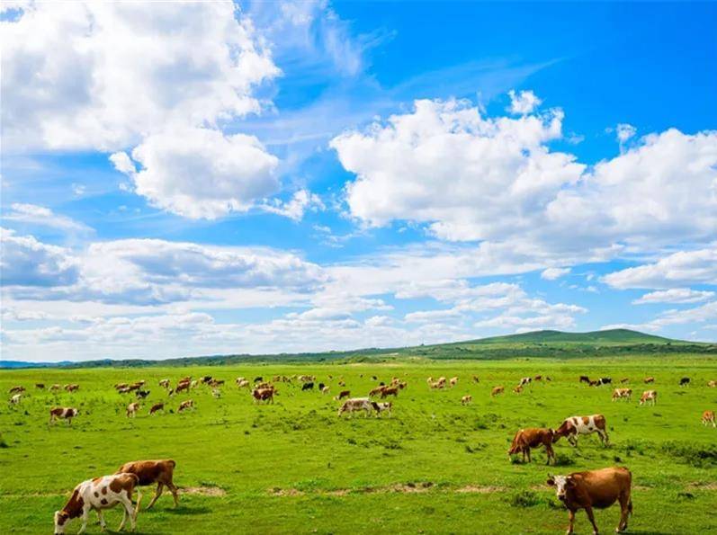 内蒙古风情之旅