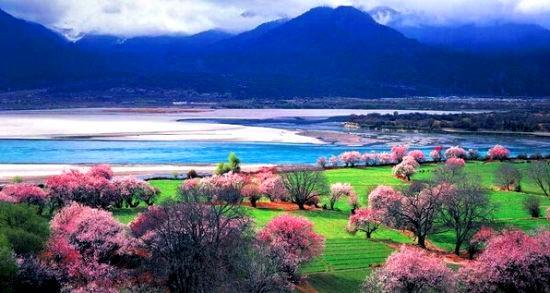 探寻西藏,我心中的圣地之旅