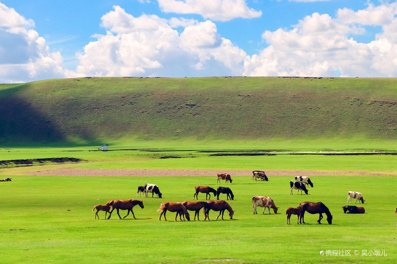 呼伦贝尔,草原生态之旅与美丽风光体验