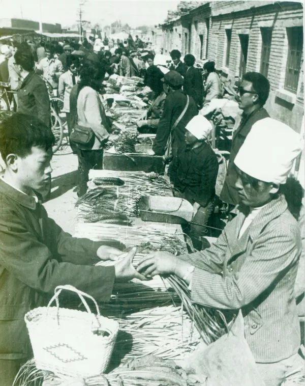 乌海,青春梦想的史诗之旅