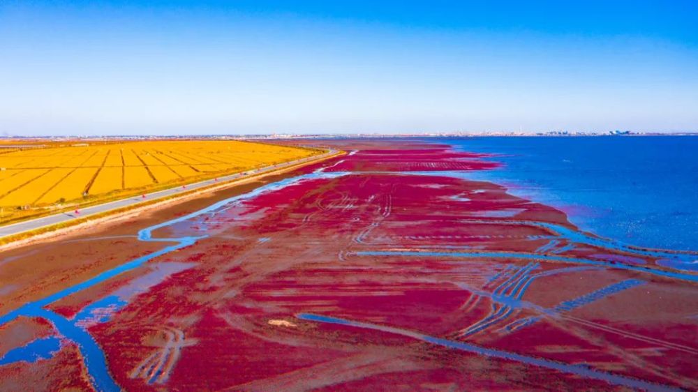 盘锦,多元发展之我见