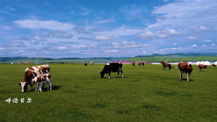 呼伦贝尔大草原，夕阳下的壮美画卷