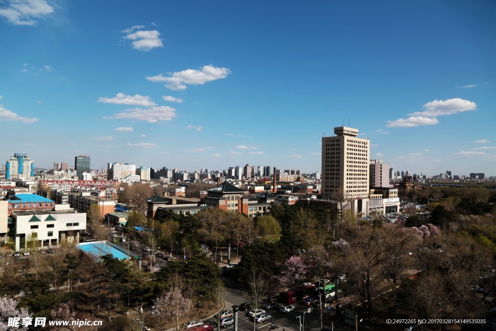 长春，历史与现代交融的繁华之都